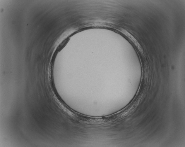 X0000085731285200704091435