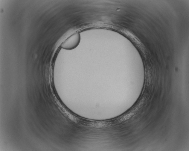 X0000085731286200704091435