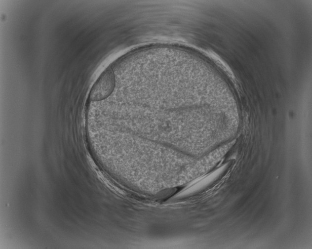 X0000085731287200704091434