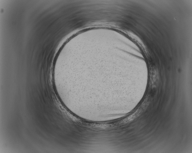 X0000085731288200704091434