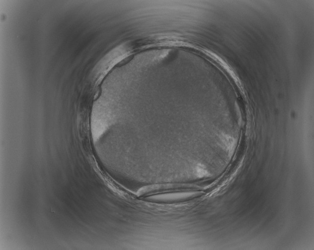 X0000085731289200704091434