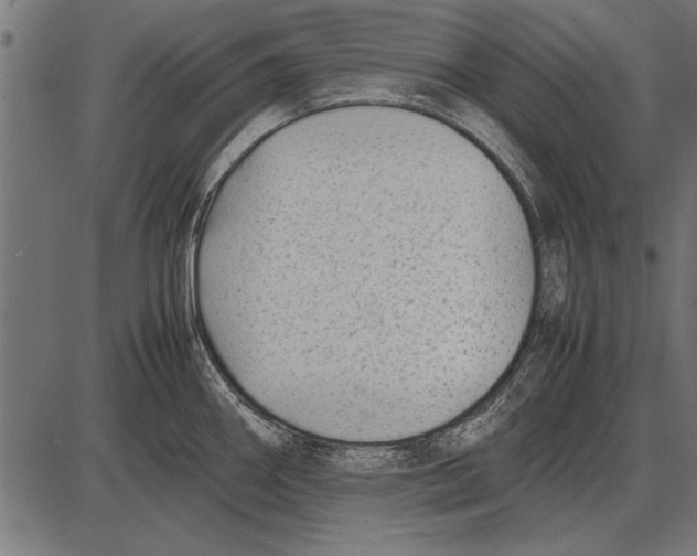 X0000085731290200704091434