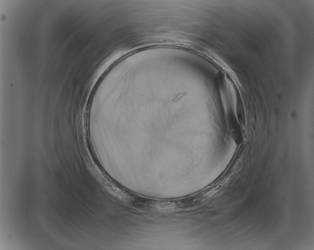 X0000085731291200704091434