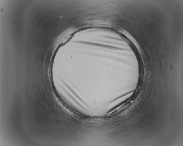 X0000085731293200704091434