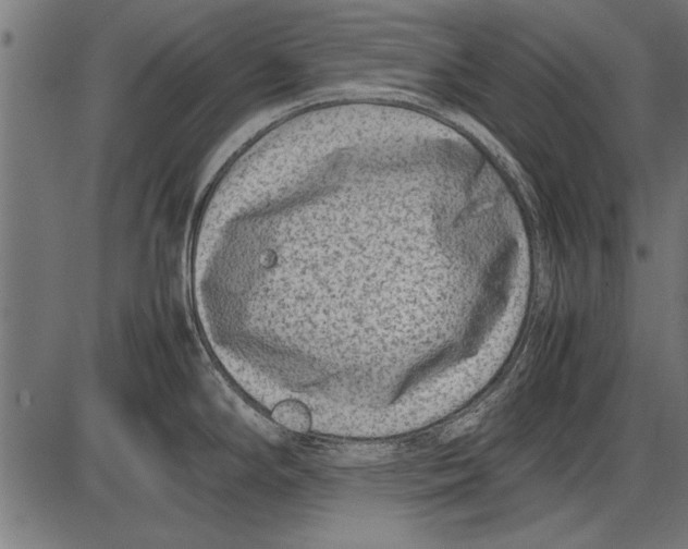 X0000085731294200704091434