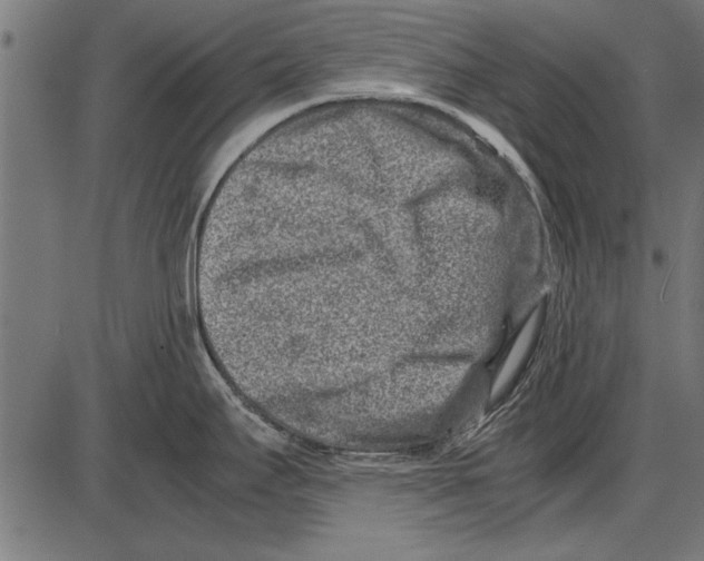 X0000085731295200704091434