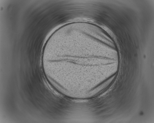 X0000085731296200704091434