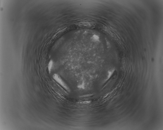 X0000085731297200704091434