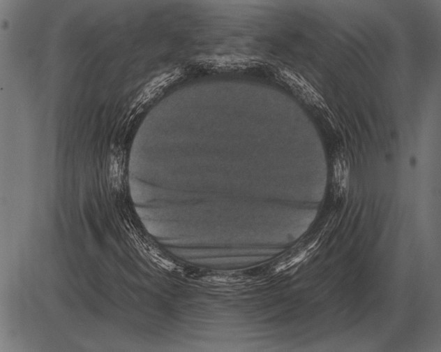 X0000085731300200704091434