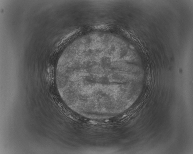 X0000085731301200704091434