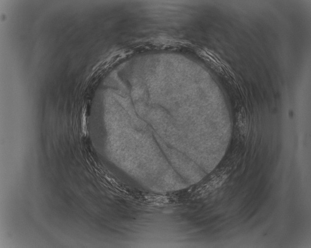 X0000085731302200704091434