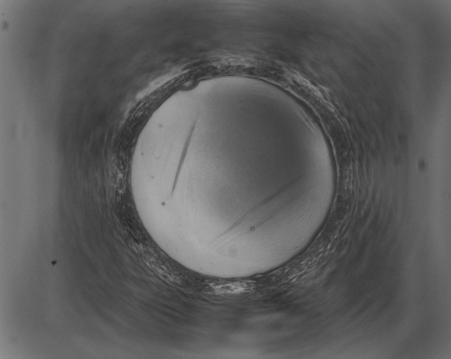 X0000085731303200704091434