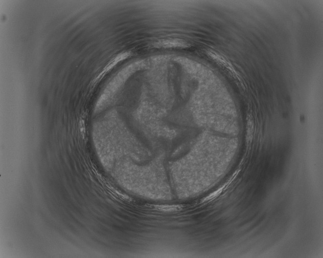 X0000085731305200704091434