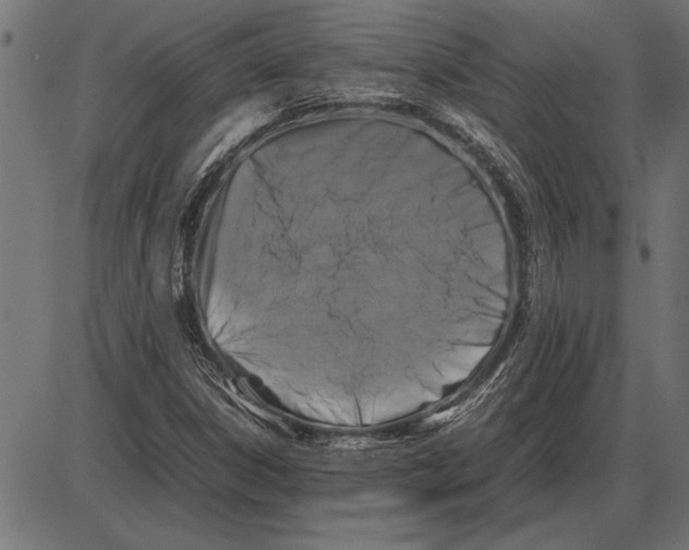 X0000085731306200704091434