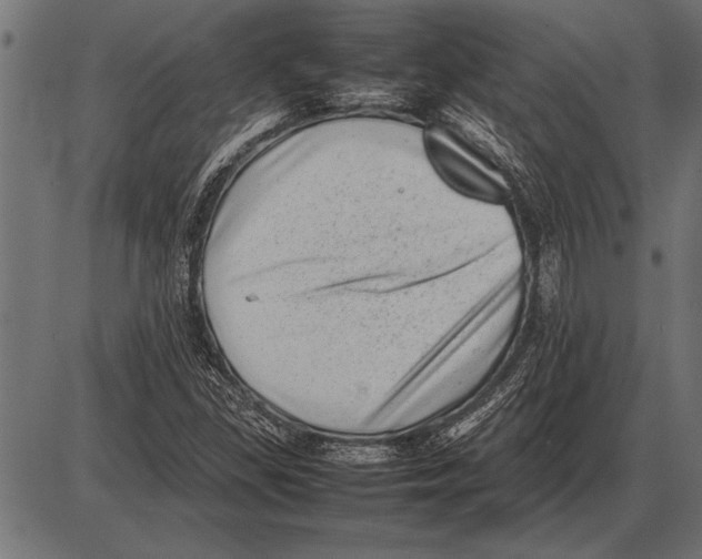 X0000085731309200704091434