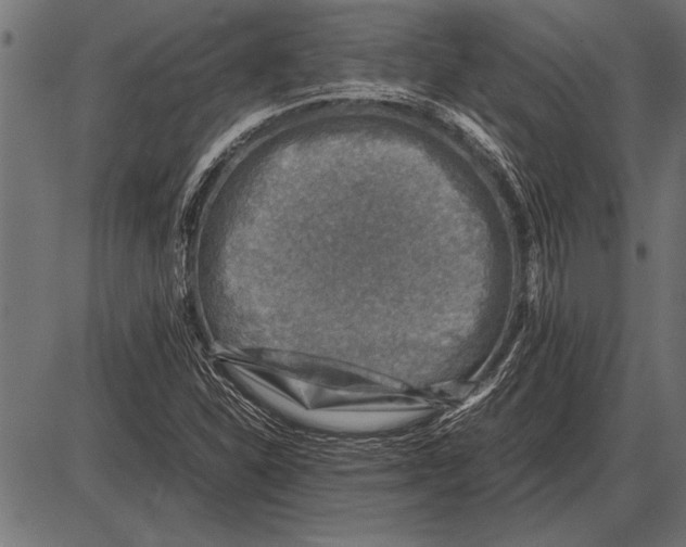 X0000085731310200704091434