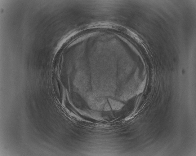 X0000085731312200704091434