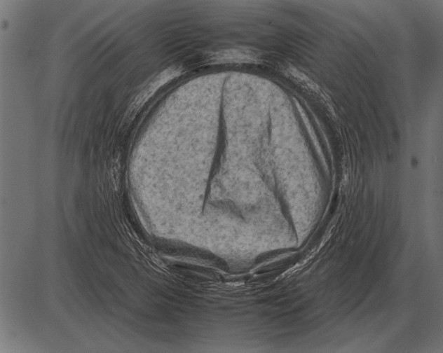 X0000085731313200704091434