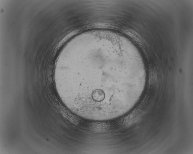 X0000085731314200704091434