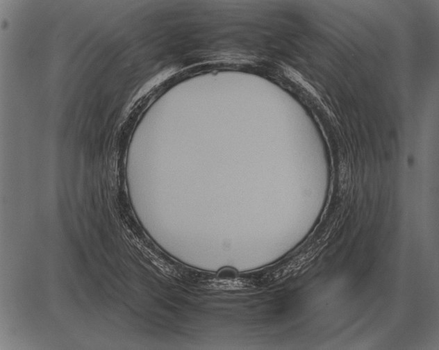 X0000085731315200704091434