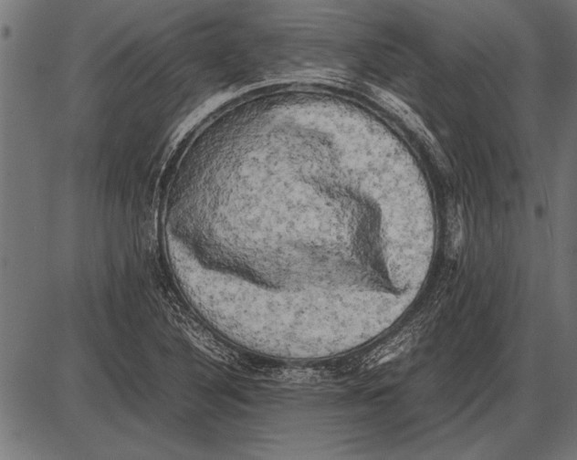 X0000085731316200704091434