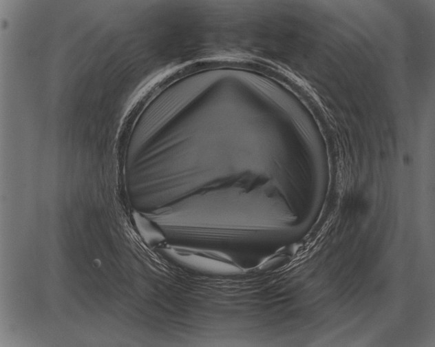 X0000085731319200704091434