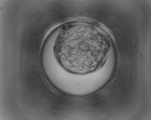 X0000085731320200704091434