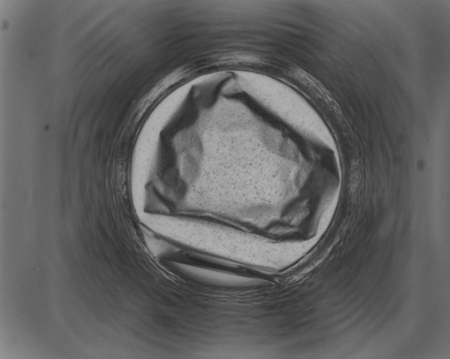 X0000085731321200704091434