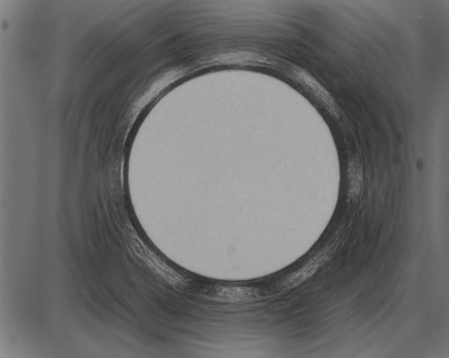 X0000085731322200704091434