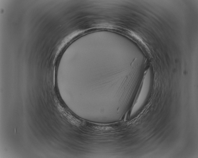 X0000085731323200704091434