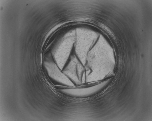 X0000085731324200704091434