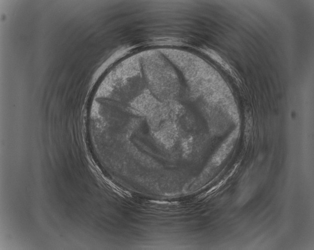 X0000085731325200704091434