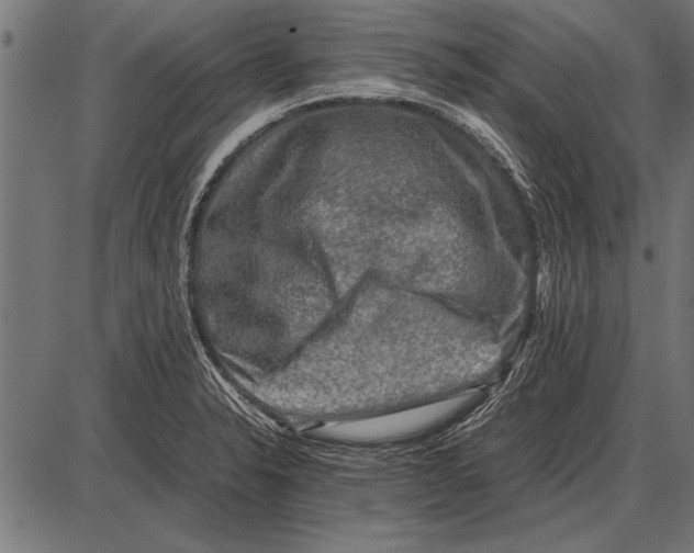 X0000085731326200704091434