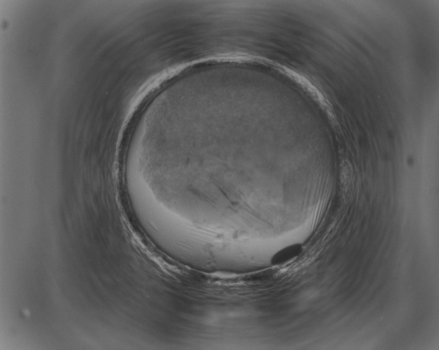 X0000085731327200704091434