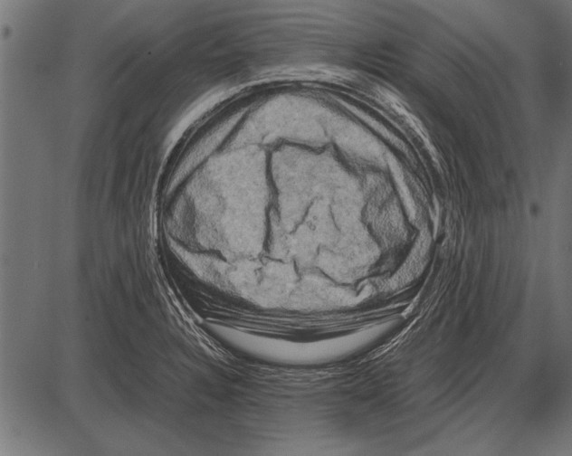 X0000085731328200704091434