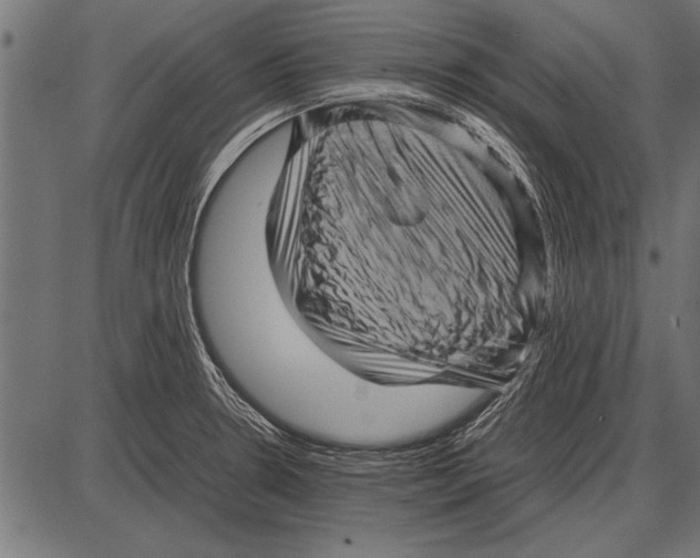 X0000085731330200704091434