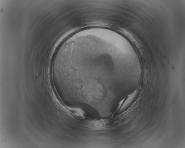 X0000085731331200704091434