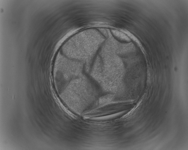 X0000085731333200704091434