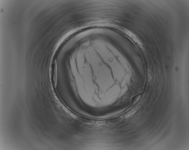 X0000085731334200704091434