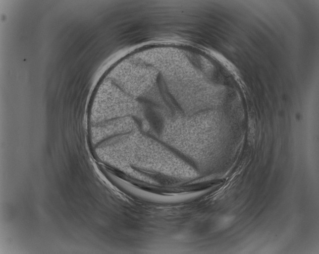 X0000085731335200704091434