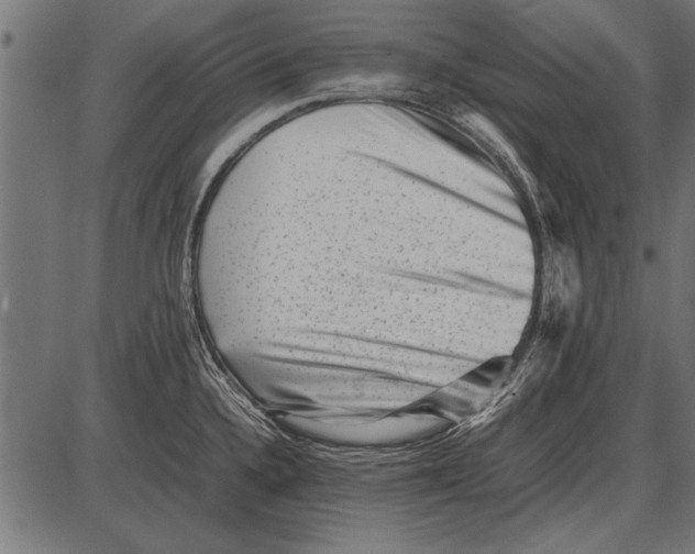 X0000085731336200704091434