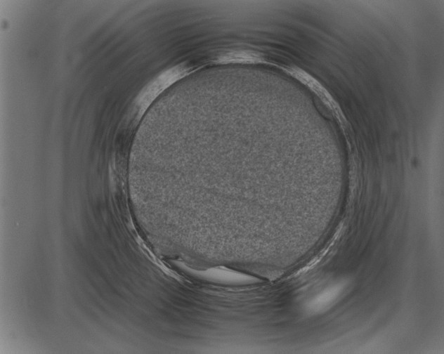 X0000085731337200704091434