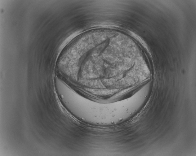 X0000085731338200704091434