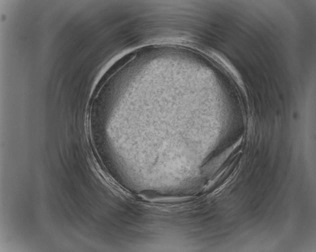 X0000085731340200704091434