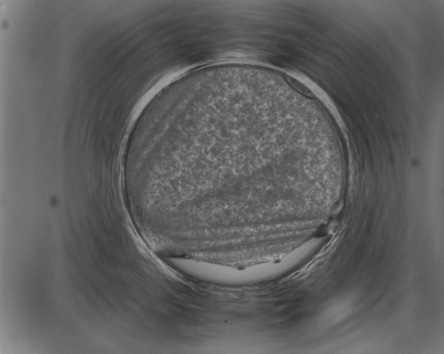 X0000085731341200704091434