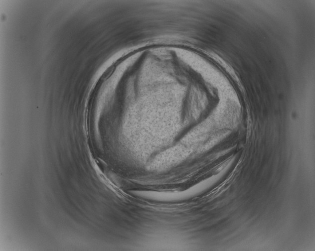 X0000085731342200704091434