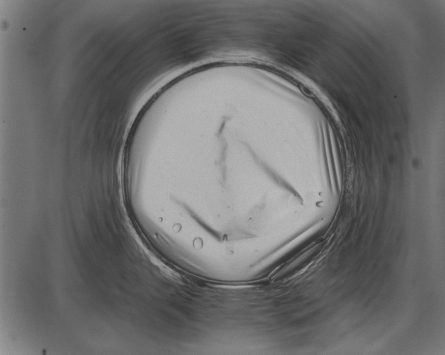 X0000085731343200704091434