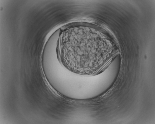 X0000085731344200704091434