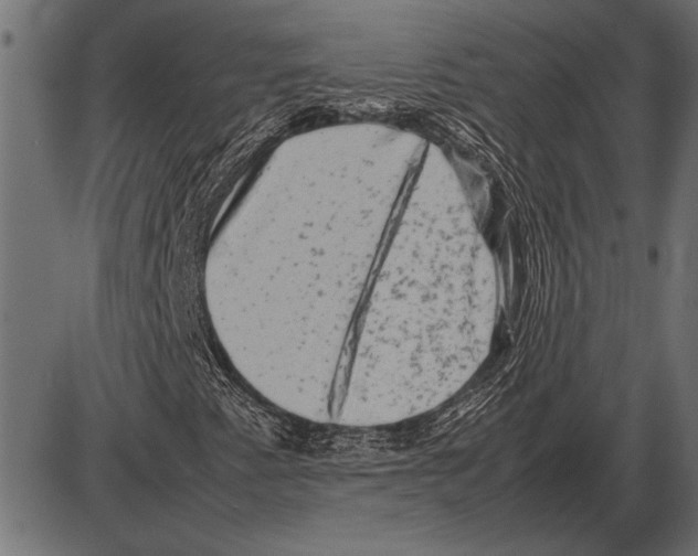 X0000085731345200704091434