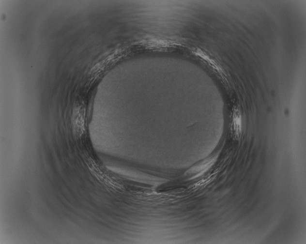 X0000085731348200704091433